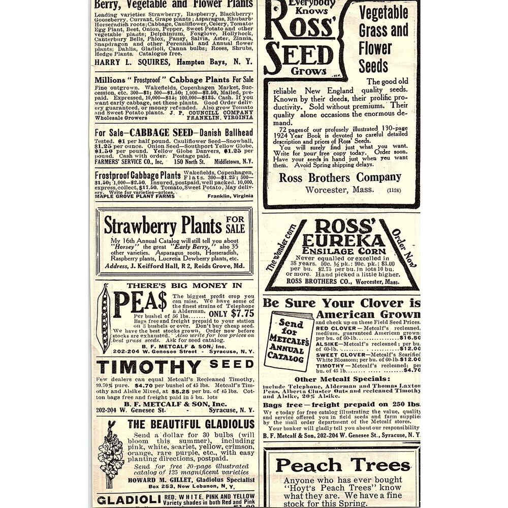 McQuay-Norris Piston Rings St. Louis MO 1924 Ad AG3-4 - Picture 2 of 2